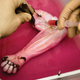 A primate arm being worked on.